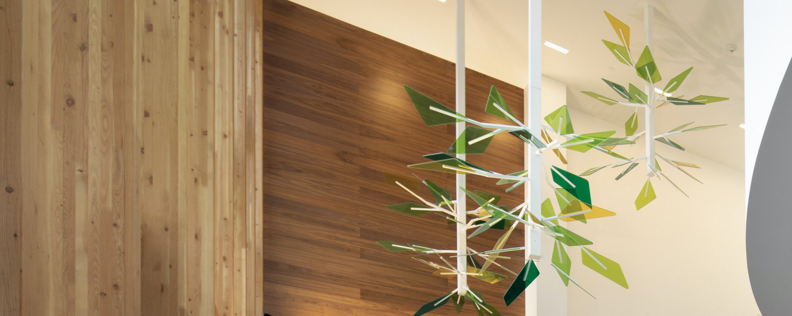 Mass Timber: Moda Tower Lobby