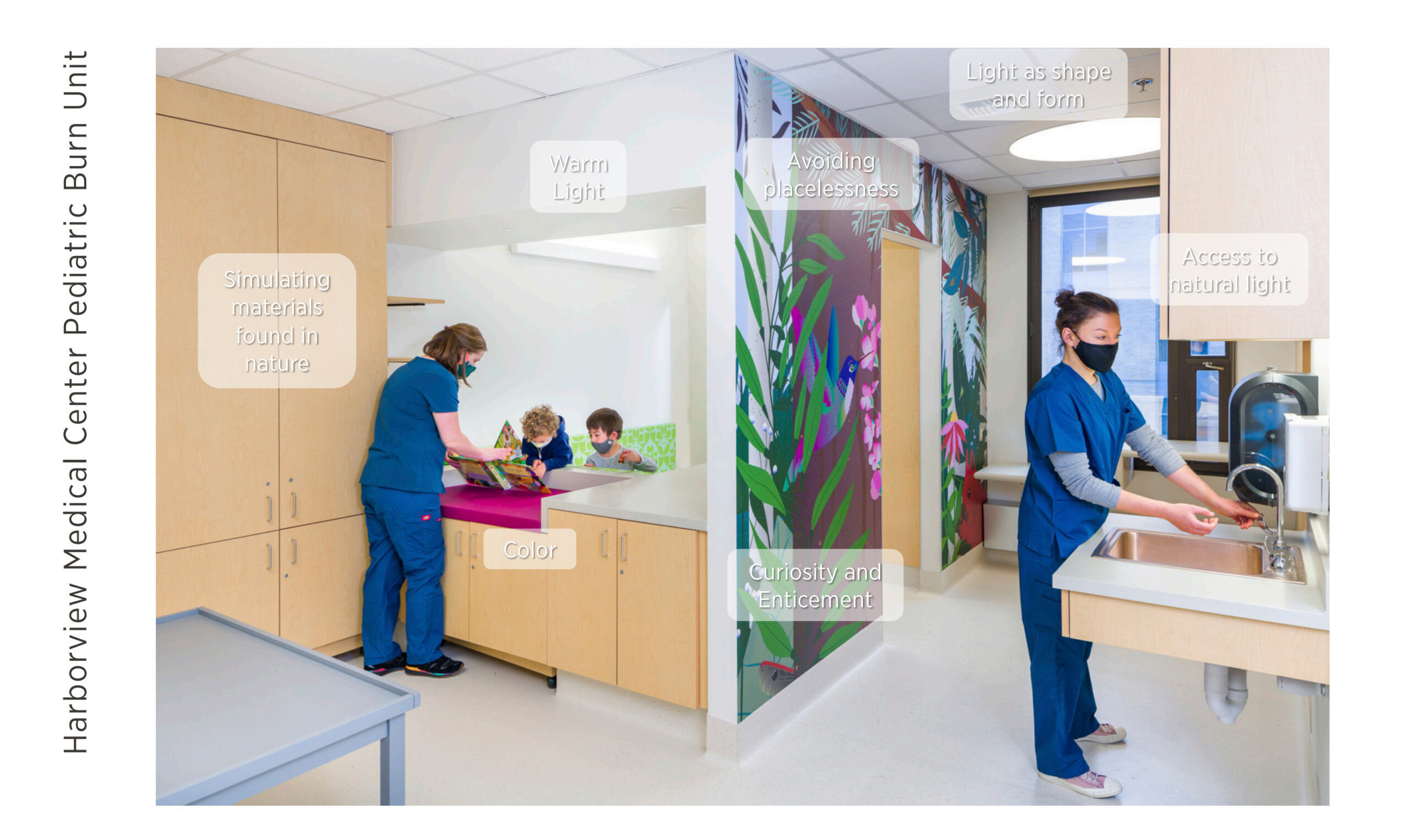 Biophilia in the Harborview Medical Center Pediatric Burn Unit